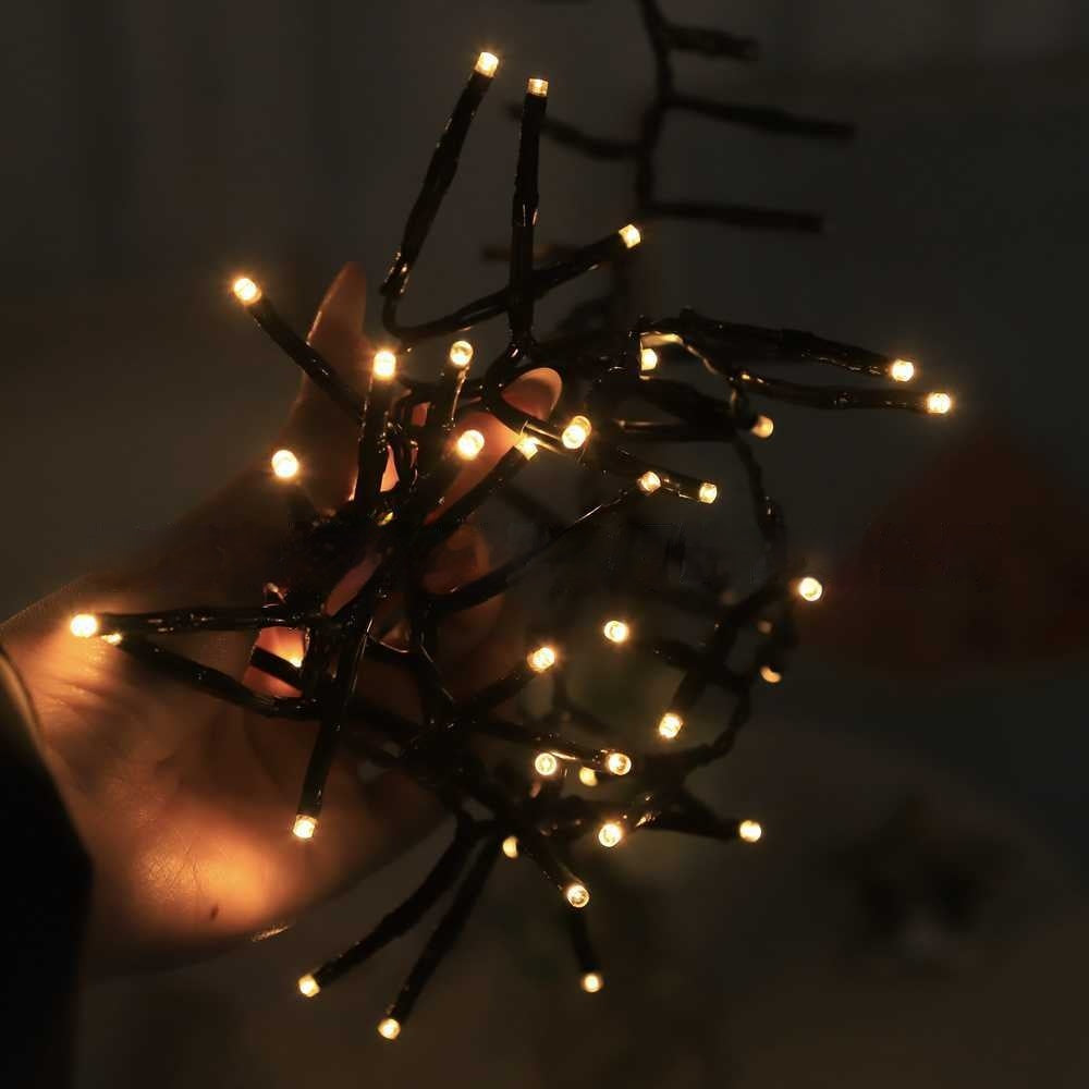 Close view of the Cascade warm-white LEDs and dark wiring